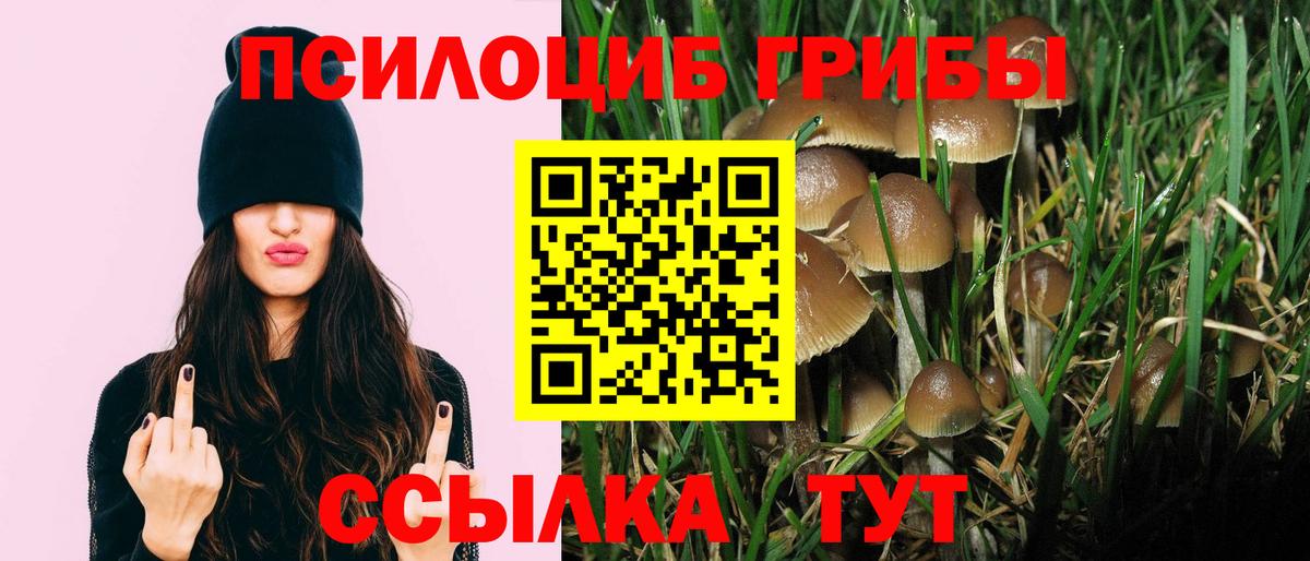 Псилоцибиновые грибы ЛСД  Вход с VPN  Псилоцибиновые грибы мухоморы  Бугуруслан 