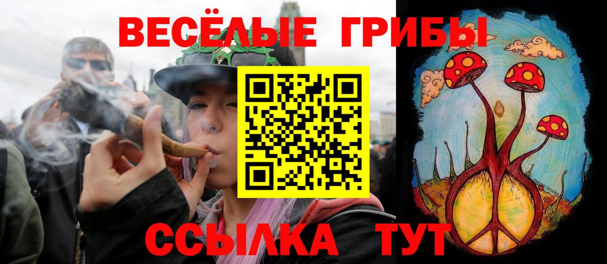 Псилоцибиновые грибы Psilocybine cubensis Бугуруслан